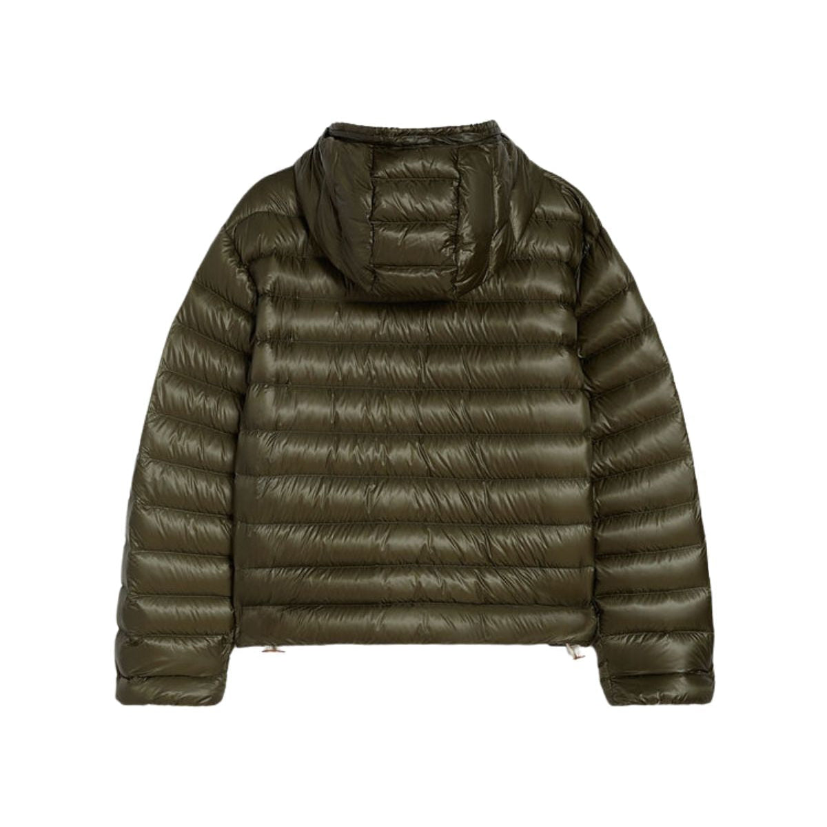 Tailored Fit Puffer Nylon Jacket